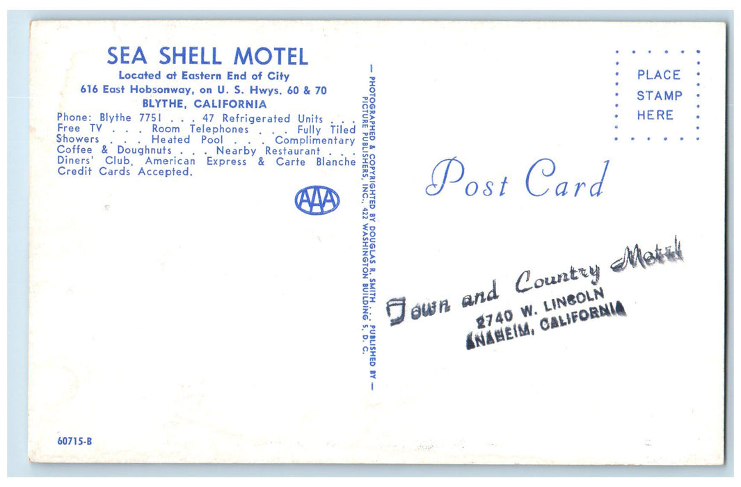 c1960s Sea Shell Motel Swimming Pool Blythe California CA Unposted Tree Postcard