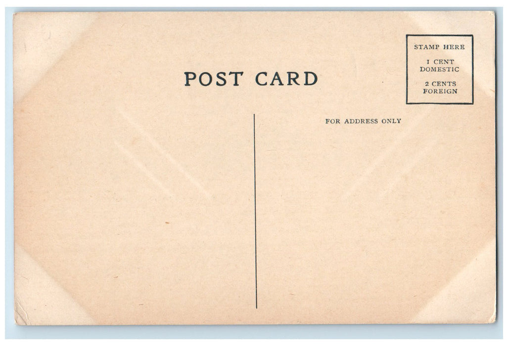 c1950 Dreamwold TW Lawson's Famous Farm Egypt Massachusetts MA Vintage Postcard