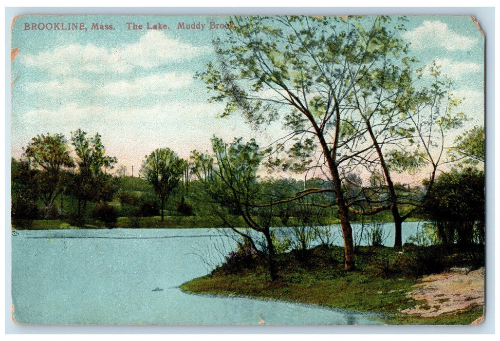 1908 The Lake Muddy Brook Grove View Brookline Massachusetts MA Posted Postcard
