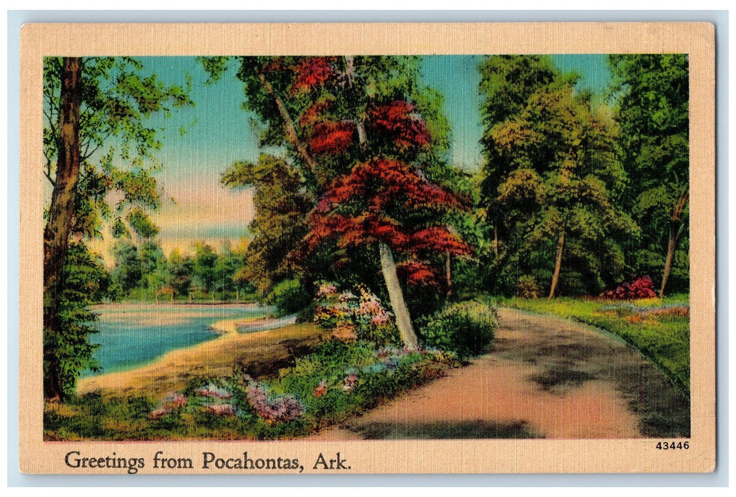 c1940s Greetings From Pocahontas Trees Arkansas AK Unposted Vintage Postcard