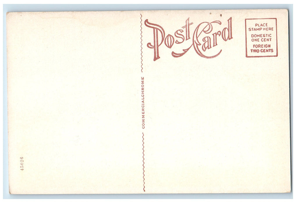 c1920s Chestnut Street Public School Exterior Oneonta New York NY Trees Postcard