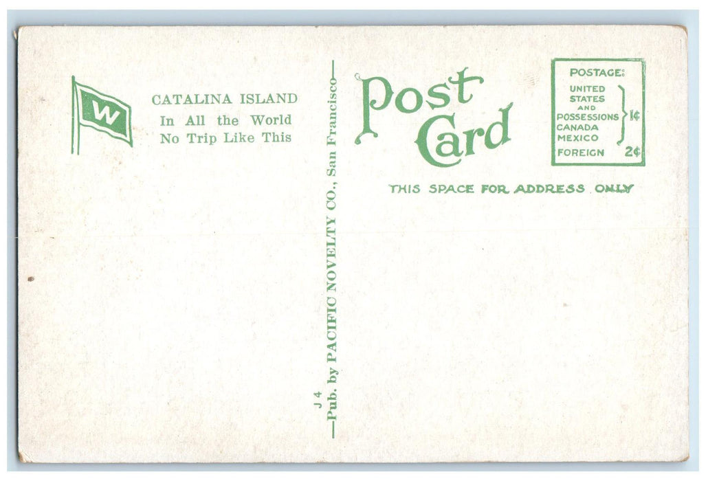 c1910s Steamship Avalon And Hotel St. Catherine Catalina Island CA Ship Postcard
