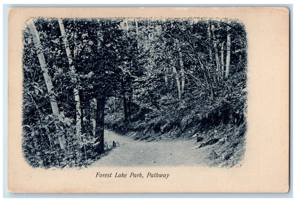 c1905's Forest Lake Park Pathway Scene Dalton New Hampshire NH Unposted Postcard