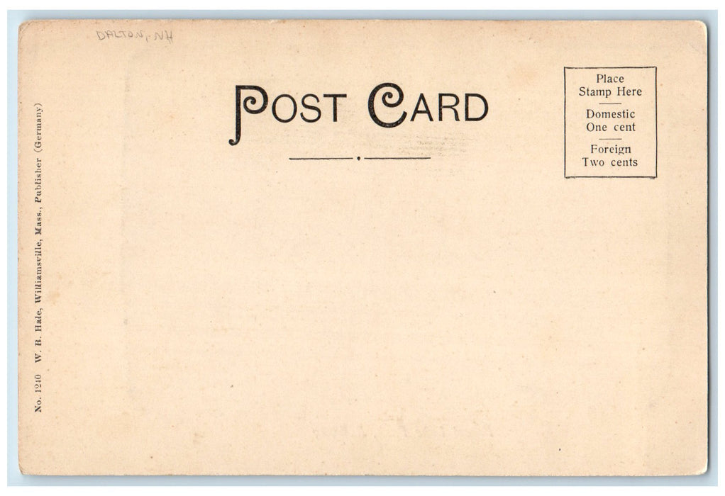 c1905's Forest Lake Park Pathway Scene Dalton New Hampshire NH Unposted Postcard