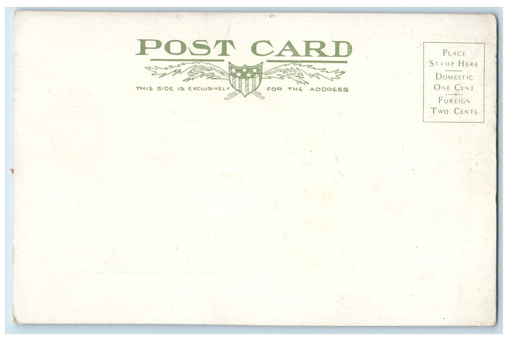 c1905s BPOE Deer Antlers Ribbon Flower View Denver Colorado CO Unposted Postcard