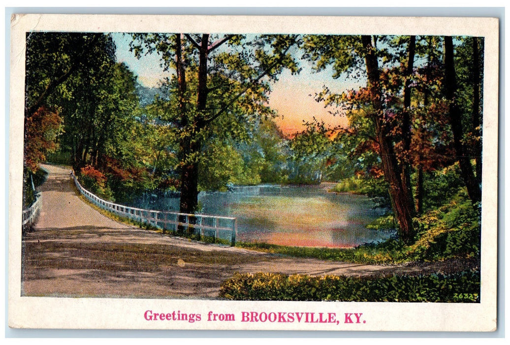 c1920s Greetings From Brooksville Bridge Kentucky KY Unposted Vintage Postcard