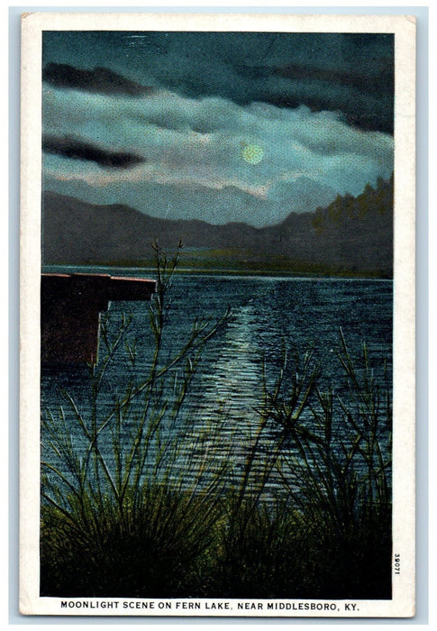 c1920's Moonlight Scene On Fern Lake Near Middlesboro Kentucky KY Moon Postcard