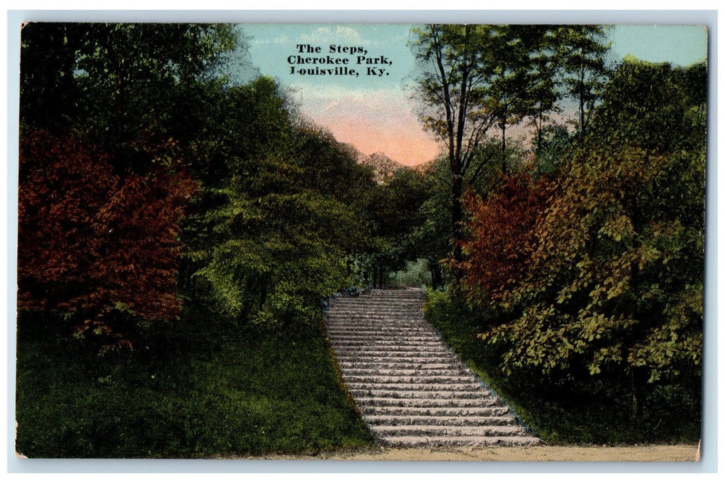 c1910s The Steps Scene Cherokee Park Louisville Kentucky KY Unposted Postcard