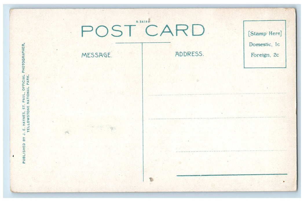 c1920s Elk Stalled In Snow Hayden Valley Yellowstone Park Wyoming WY Postcard