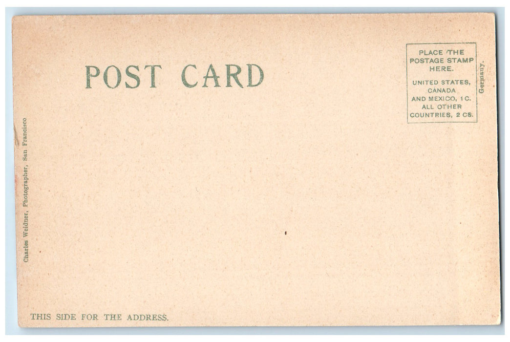 c1905's Leland Stanford Jr. University Library Palo Alto California CA Postcard
