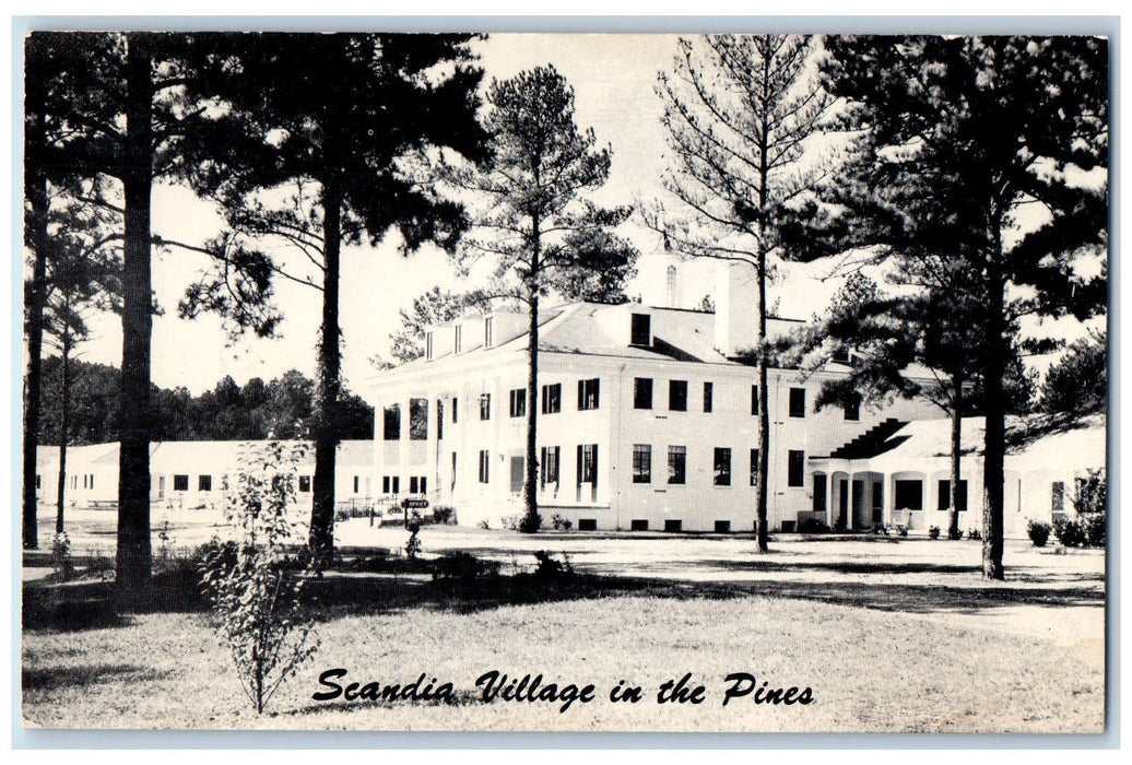 c1950 Scandia Village In The Pines Hotel Motel Neuse North Carolina NC Postcard