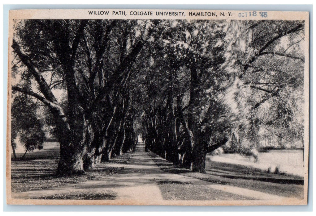 c1920's Willow Path Colgate University Lined Trees Hamilton New York NY Postcard