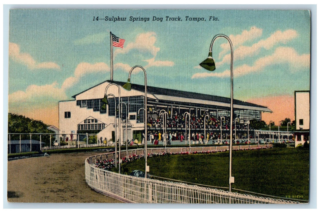 c1940's Sulphur Springs Dog Track Grand Stand Ground Tampa Florida FL Postcard