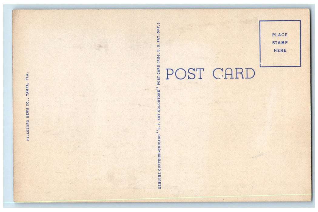 c1940's Sulphur Springs Dog Track Grand Stand Ground Tampa Florida FL Postcard