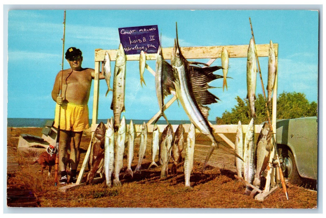 c1950 Fair Catch In The Florida Keys Caught Aboard Marathon Florida FL Postcard