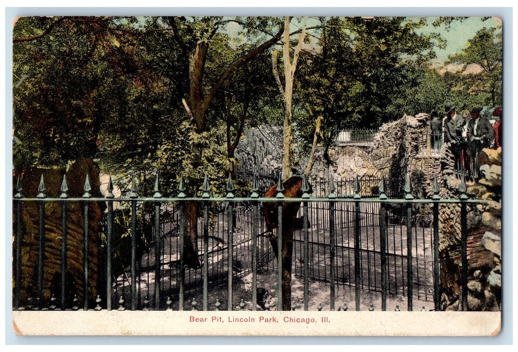 c1905 Bear Pit Lincoln Park Cubs On Tree Tourists Chicago Illinois IL Postcard