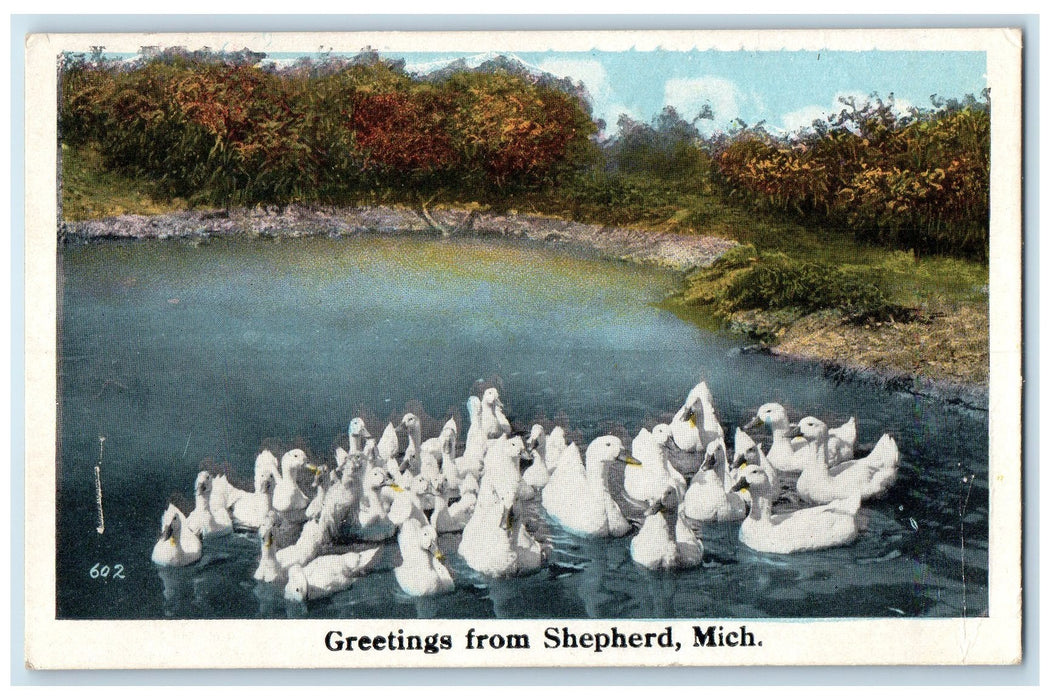 1919 Greetings From Shepherd Group Of Ducks Pond Michigan MI Posted Postcard