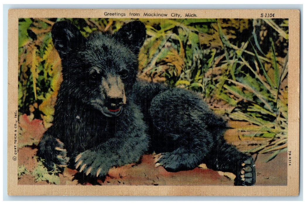 c1940's Greetings From Mackinaw City Michigan MI Unposted Baby Bear Postcard