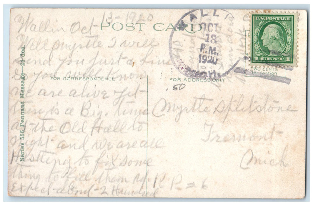 1920 Send A Line To Mallin Beach Shoreline Lady & A Boat Michigan MI Postcard