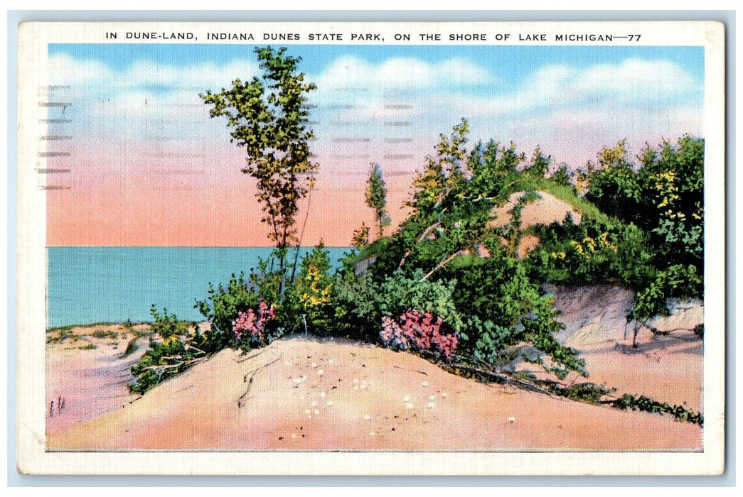 1946 In Dune Indiana Land State Park On The Shore Of Lake Michigan MI Postcard