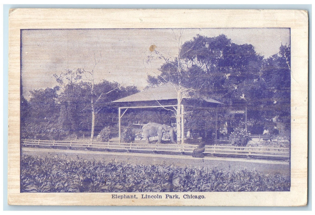 c1940's Elephant View Lincoln Park Chicago Illinois IL Unposted Vintage Postcard
