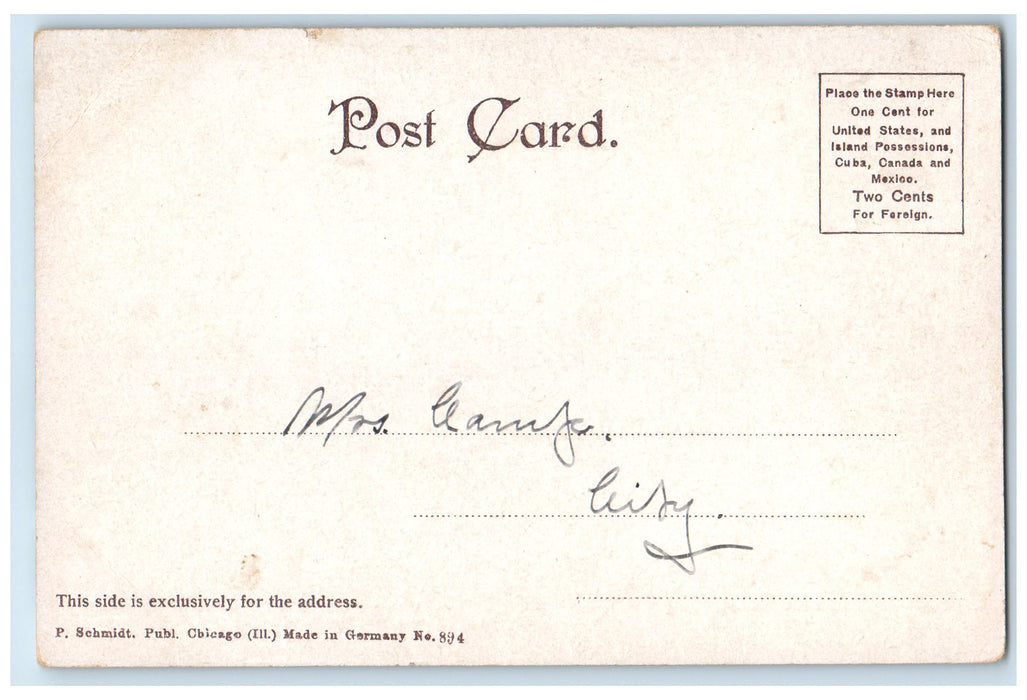 c1905's Michigan Avenue Boulevard Chicago Illinois IL Unposted Vintage Postcard