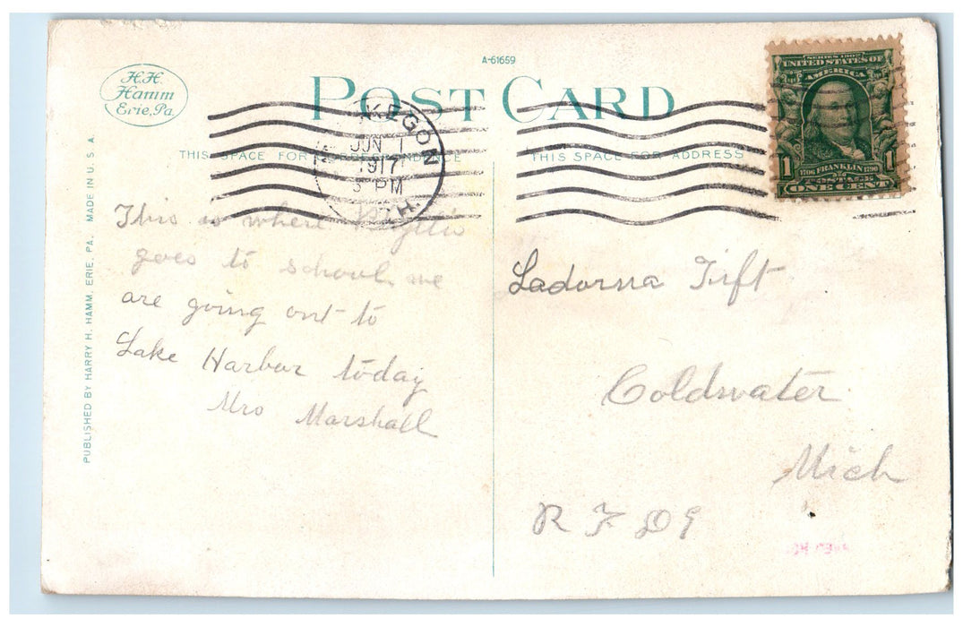 1917 Hackley School Exterior Roadside Muskegon Michigan MI Posted Trees Postcard