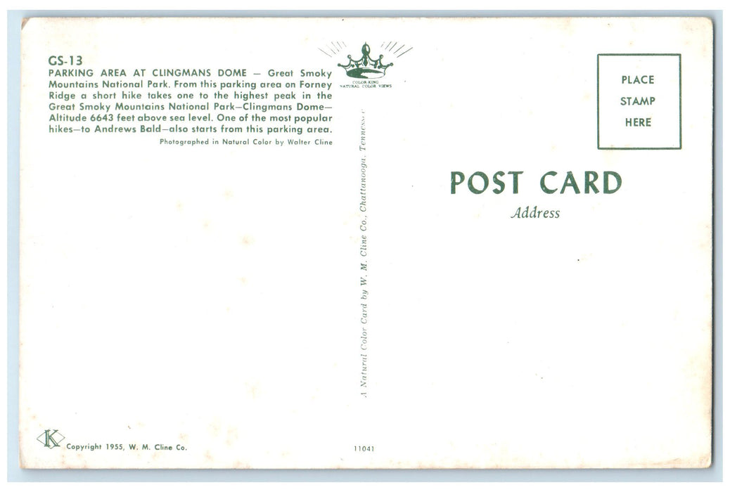 c1950's Parking Area Classic Cars Clingmans Dome Tennessee TN Unposted Postcard
