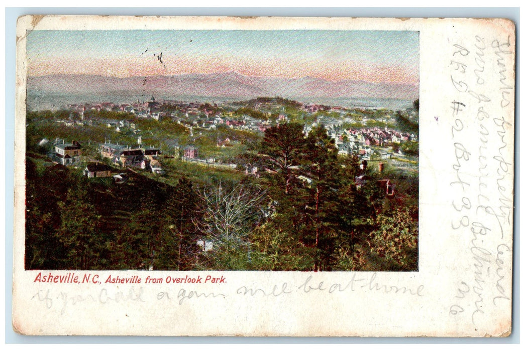 1907 Asheville From Overlook Park Buildings Groves North Carolina NC Postcard