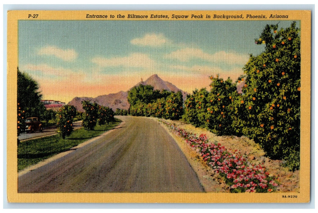 1954 Entrance To The Biltmore Estates Squaw Peak Phoenix Arizona AZ Postcard