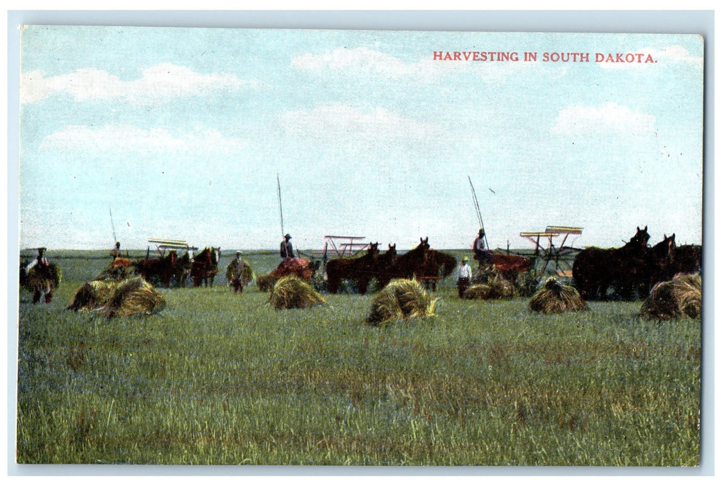 c1950's Harvesting Farming Horse Drawn Farm In South Dakota SD Unposted Postcard