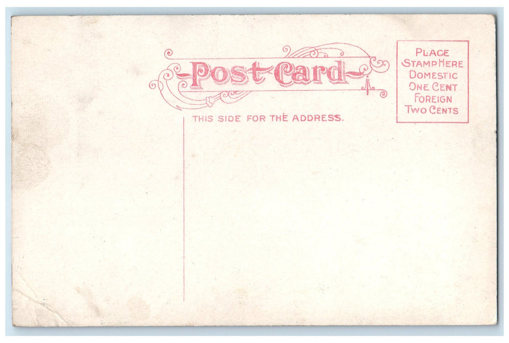 c1910's Illinois Central Bridge Omaha And Bluffs Largest Draw Spants NE Postcard