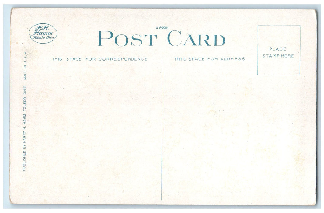c1920's Birds Eye View MAC Campus School Buildings Lansing Michigan MI Postcard
