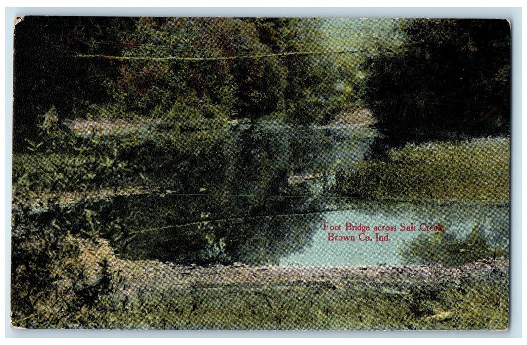 1909 Foot Bridge Across Salt Creek Brown County Indiana IN Posted Trees Postcard