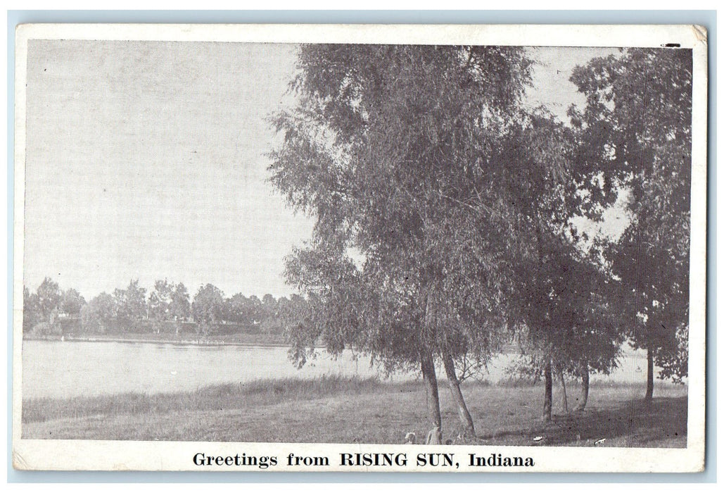 c1940's Greetings From Rising Sun Trees Indiana IN Unposted Vintage Postcard