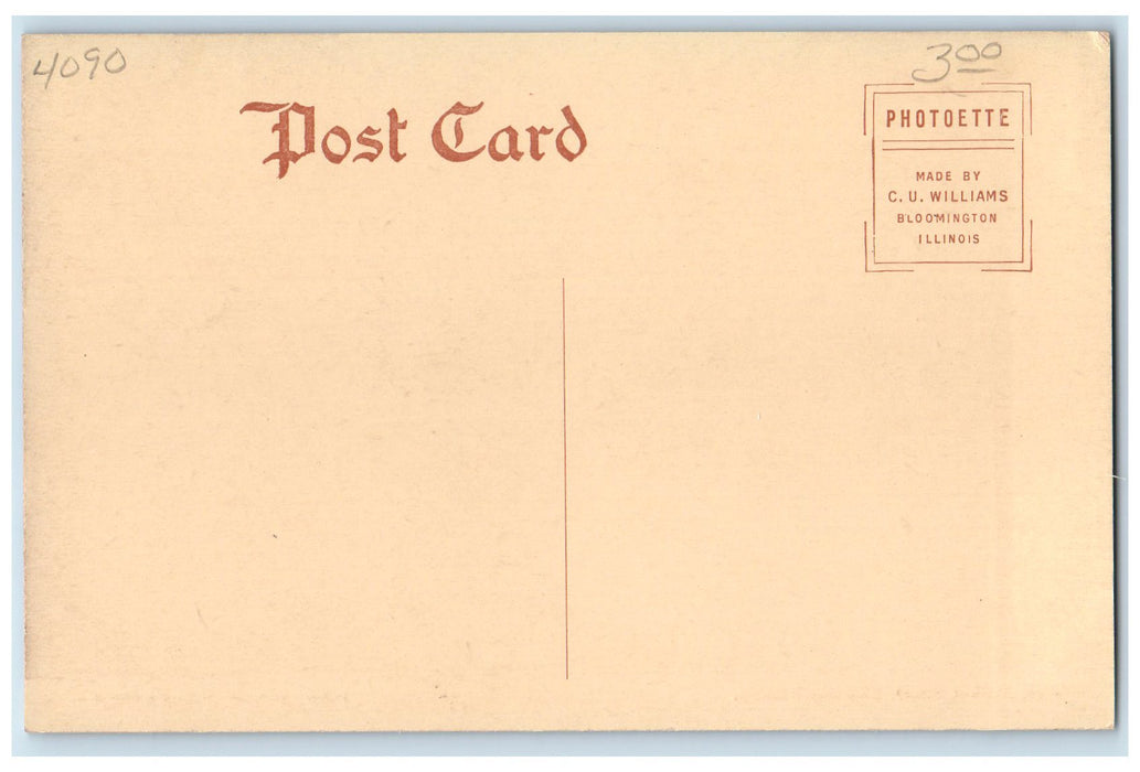 c1905 West Market Street lined Trees Horse Carriage Bluffton Indiana IN Postcard
