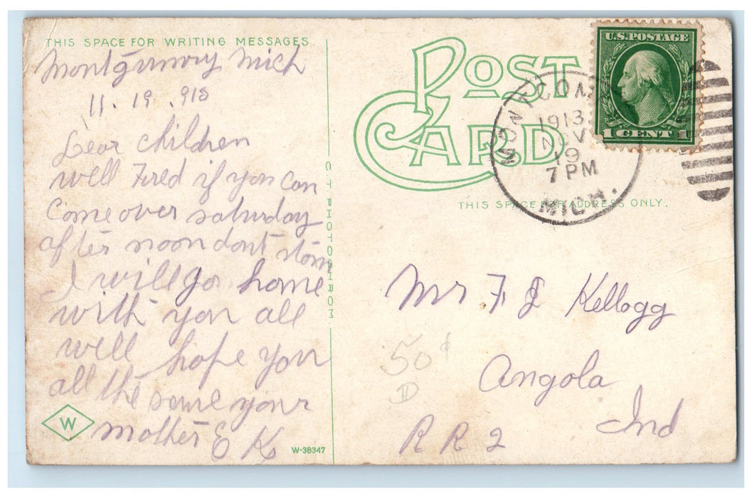 1913 Public Library Exterior Roadside Jackson Michigan MI Posted Trees Postcard