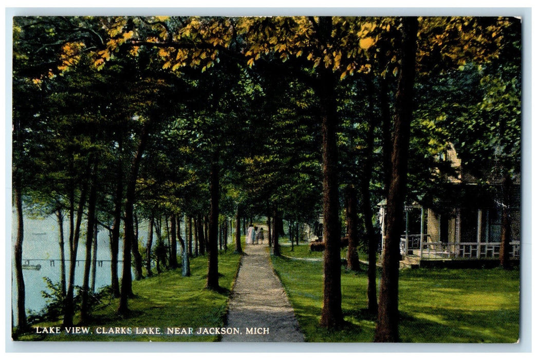 c1910s Lake View Clarks Lake Near Jackson Michigan MI Unposted Trees Postcard