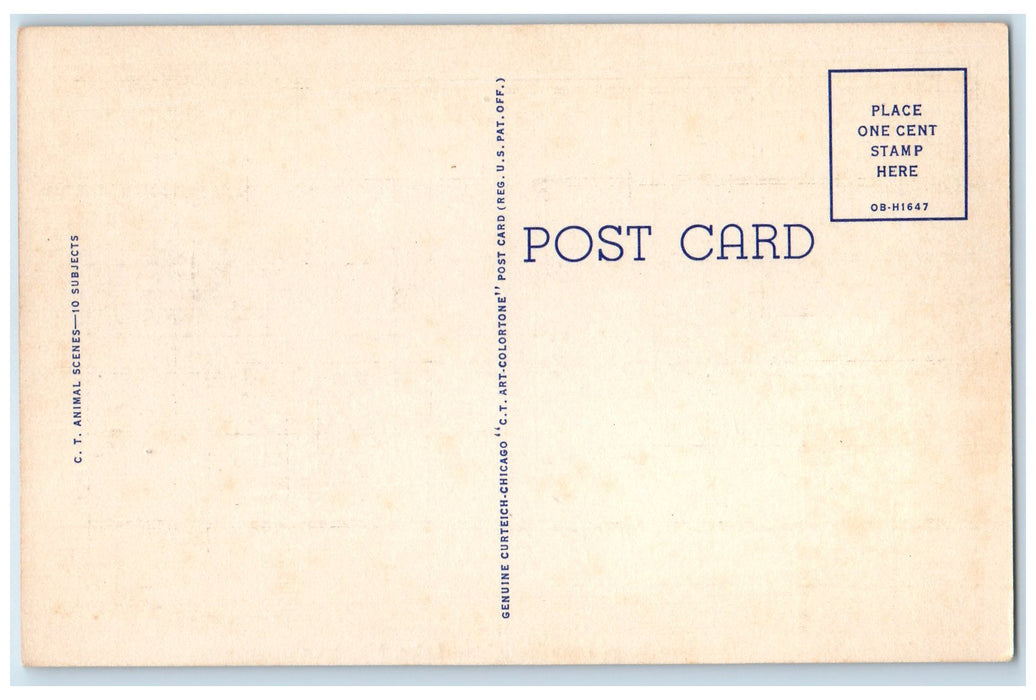 c1940's Greetings From Houghton Lake Michigan MI Unposted Bear Family Postcard