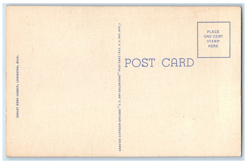 c1940 Harbor Scene Showing Seagulls At Rest Boat Ludington Michigan MI Postcard