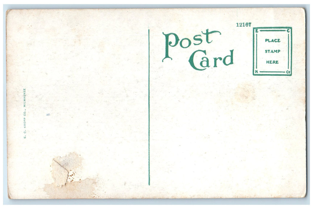 c1920's Viewing The Beautiful Sights Near Palatka Florida FL Unposted Postcard