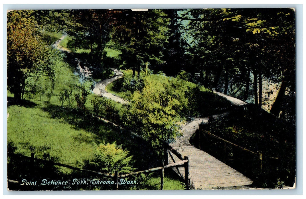c1910's Point Defiance Park Trees Scene Tacoma Washington WA Unposted Postcard