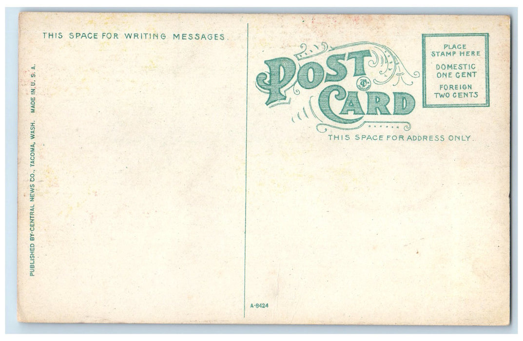 c1910's Point Defiance Park Trees Scene Tacoma Washington WA Unposted Postcard