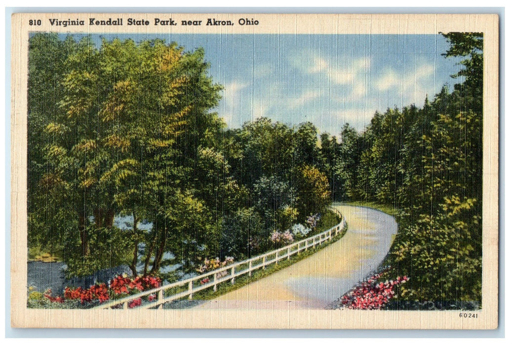 c1940s Virginia Kendall State Park Trees Scene Near Akron OH Unposted Postcard