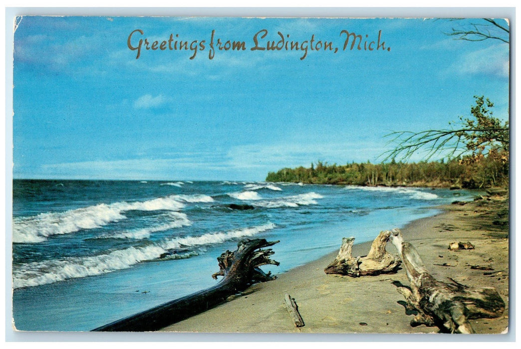 c1960s Greetings From Ludington Driftwood Michigan MI Unposted Vintage Postcard