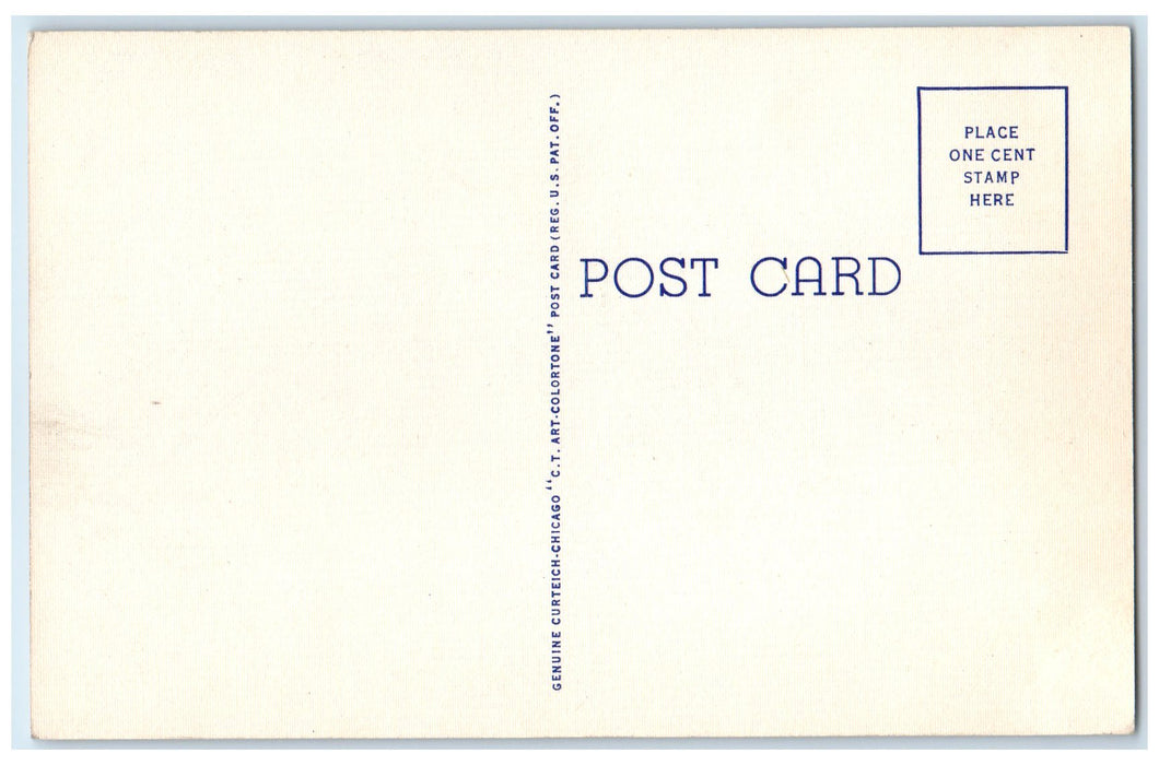 c1940s Sand Dunes And Lake Michigan Train Railway Ludington Michigan MI Postcard