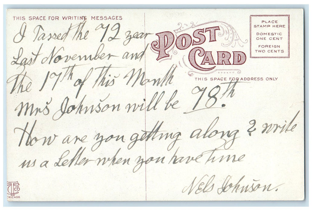 c1910's Maple Street Bridge Steamer Passenger Ship Manistee Michigan MI Postcard