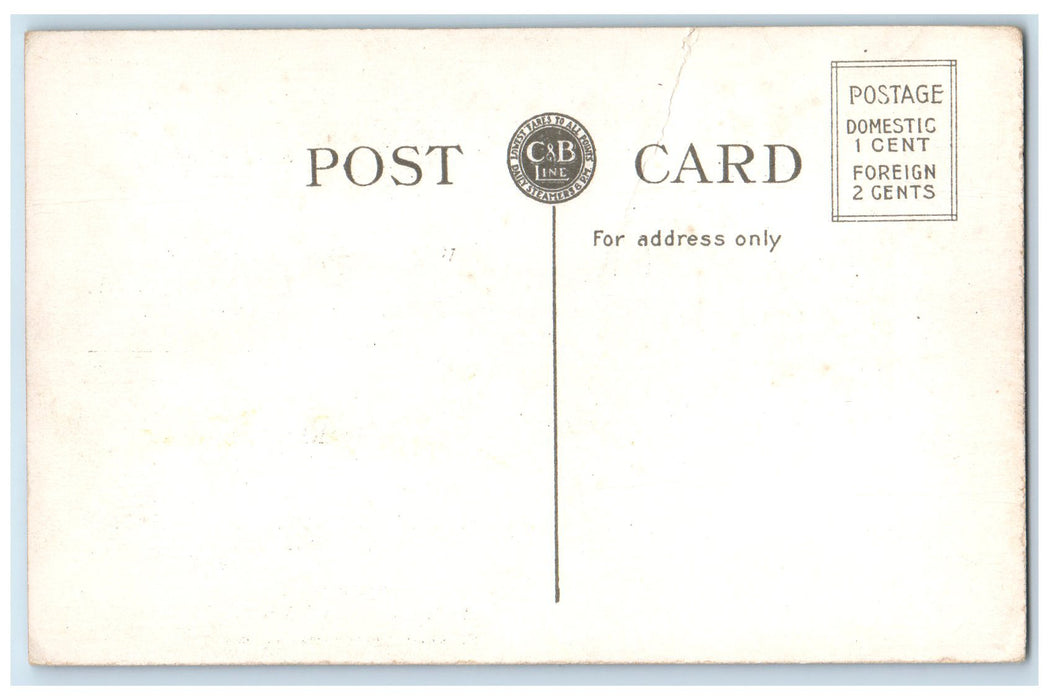 c1920s C. & B. Great Ship Seeandbee Daily Between Cleveland And Buffalo Postcard