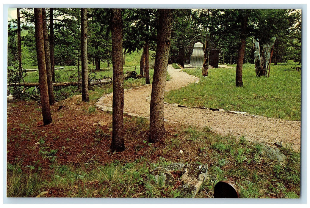 c1960s Big Hole Battlefield Beaverhead County Montana MT Unposted Trees Postcard