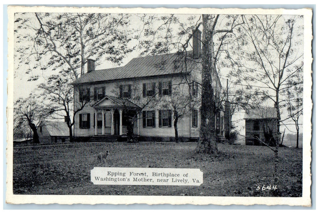 c1940's Epping Forest Birthplace Washington's Mother Lively Virginia VA Postcard